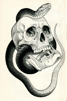 Eckel - Garden of Serpents