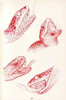 Eckel - Garden of Serpents