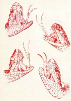 Eckel - Garden of Serpents