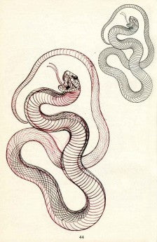 Eckel - Garden of Serpents