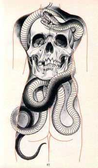 Eckel - Garden of Serpents